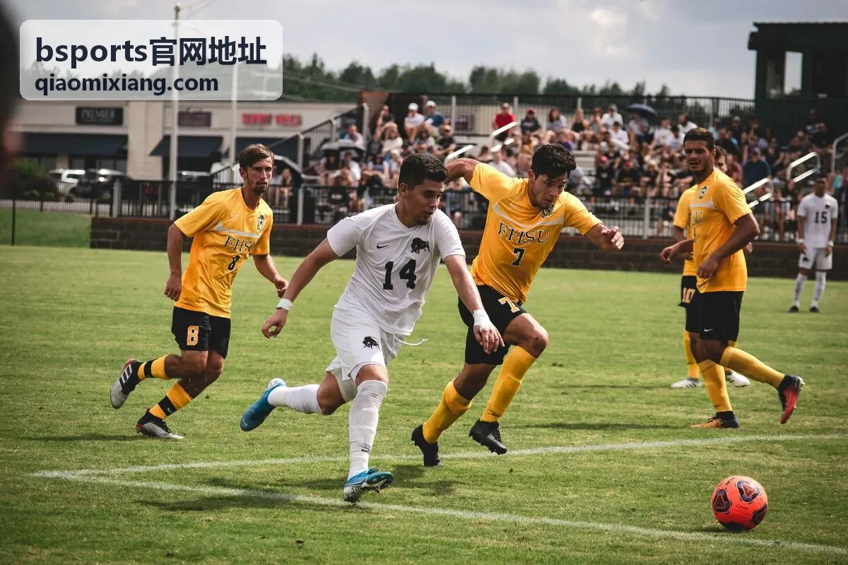 bsports赛事数据统计界面